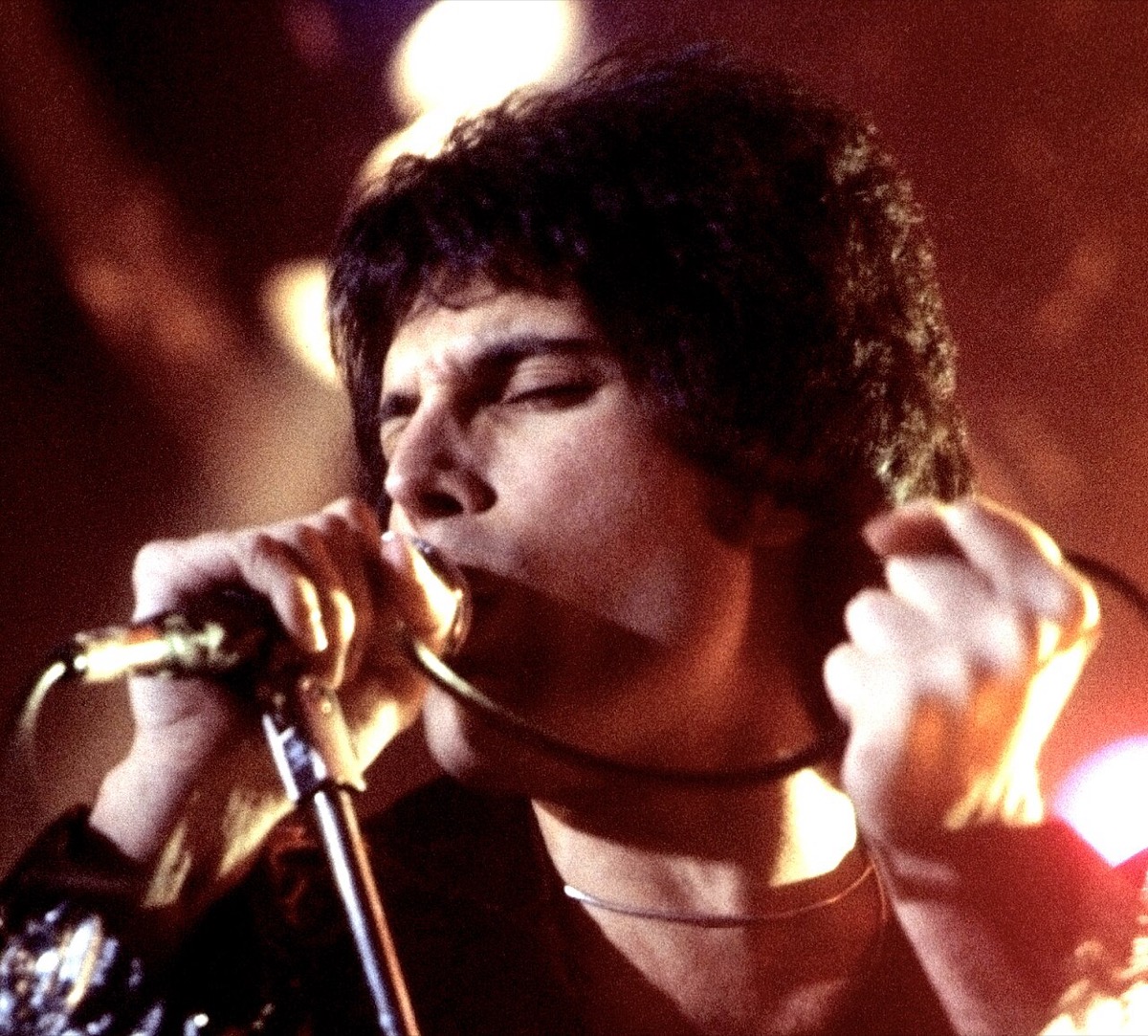 Foto 1 de Freddie Mercury